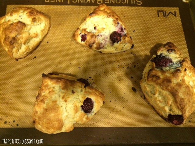 blackberryscone8