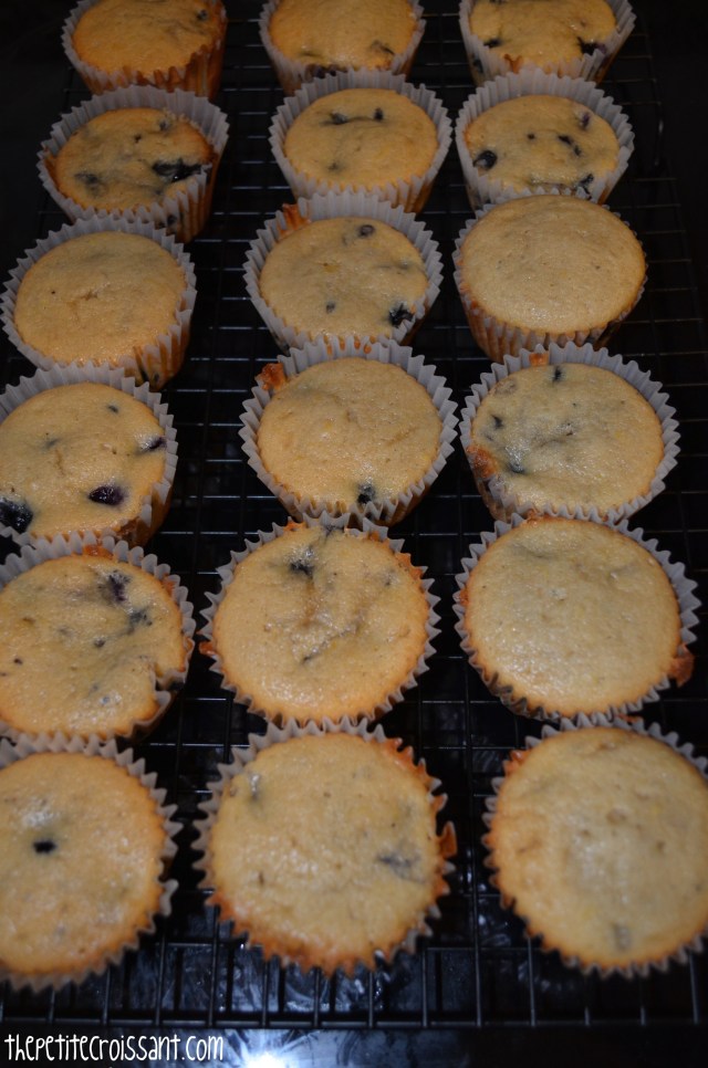 lemonblueberrycupcake8